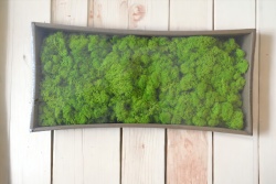 сувенир, катеричка от стиропор, покрито със зелен мъх, използваемо като аксесоар в цветарството 10х10х6 см. (500 бр.в кашон)