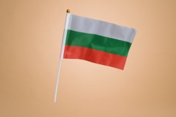 ЗНАМЕ, национален флаг на България 21х14 см. с пластмасова дръжка (50 бр. в стек 2500 бр. в кашон)