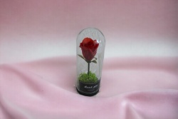 вечно живо цвете в стъклена топка, роза, светеща в кутия 12х13 см.