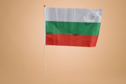 знаме, национален флаг - Република България, качествен полиестер 30х45 см. с пластмасова дръжка, издържа на дъжд (50 бр. в стек)