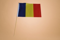 знаме Европейски съюз, качествен полиестер 14х21 см. с дървена дръжка, издържа на дъжд (50 бр. в стек)