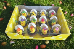 1.за оцветяване, играчки 6 бр. яйца с боички 6 см.