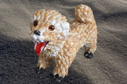 морски сувенир, ръчно изработен от миди, куче, право 22х18 см.