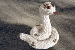 морски сувенир, ръчно изработен от миди, кобра 18х16 см.