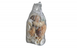 морски естествен сувенир, различни миди и раковини в подаръчен пакет 450 гр. 20х9 см. (R3)