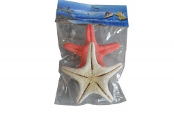 морски естествен сувенир, морски звезди 2 бр. в плик 18х13 см. (R3)